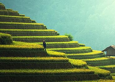 WALKING TO MACHU PICCHU, PERU