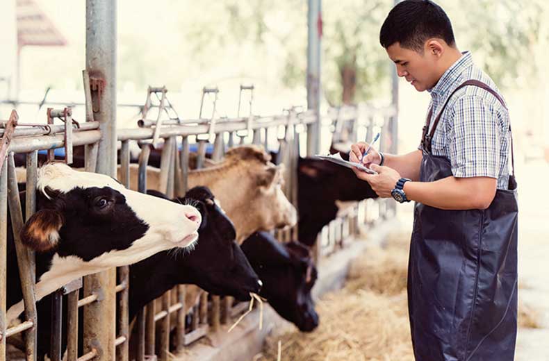 How new Google Nexus 10 compares with rivals